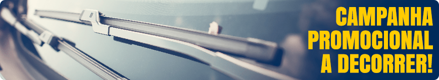 ESCOVAS LIMPA VIDROS